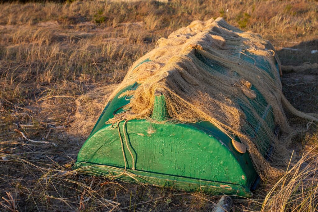 Attēls 16 no 19: Piekrastes raža no jūras, dārza un labības lauka