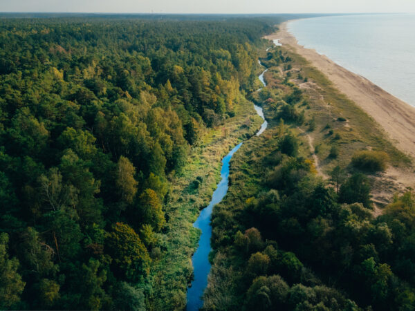 Piekrastes raža no jūras, dārza un labības lauka