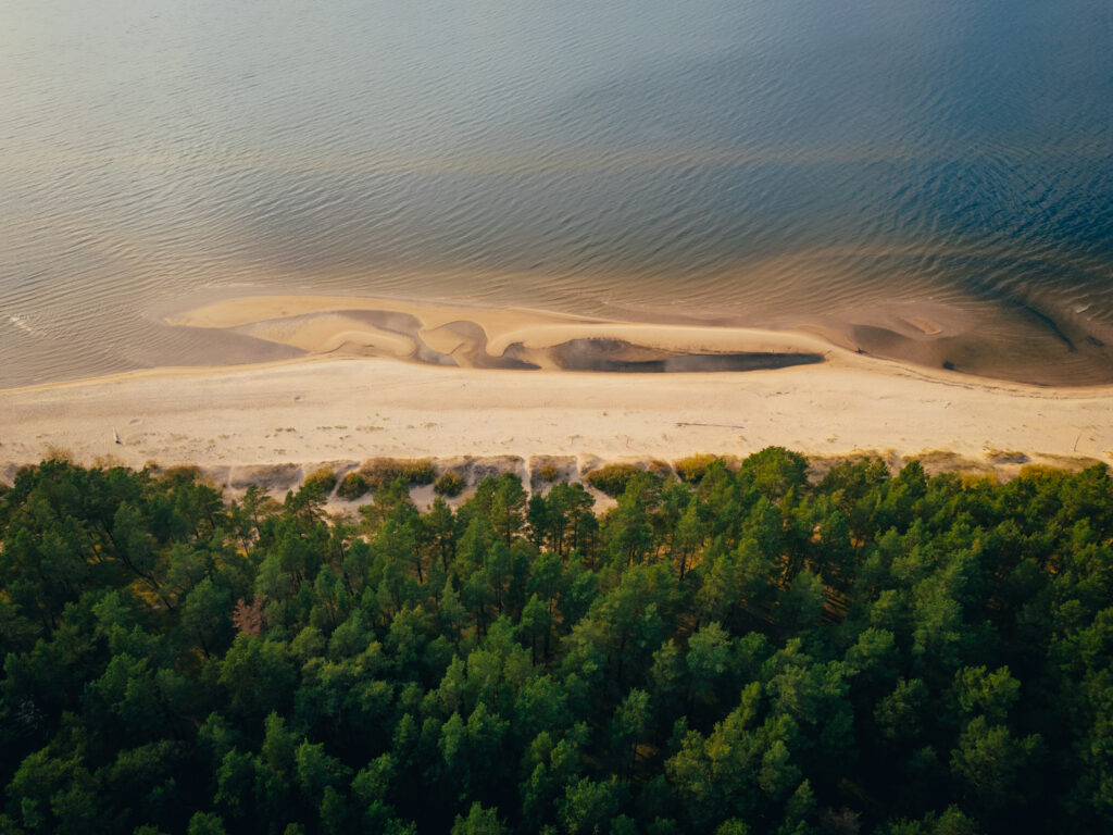 Attēls 19 no 19: Piekrastes raža no jūras, dārza un labības lauka