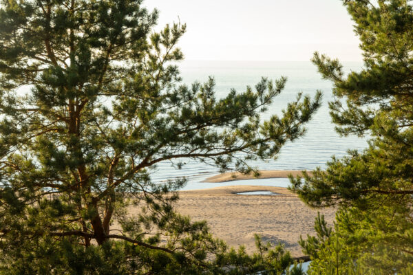 Garšu ceļojums Vidzemes piekrastes ciemos