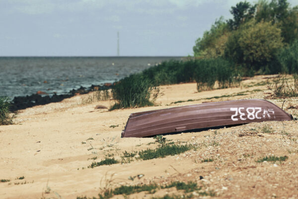 Piekrastes raža no jūras, dārza un labības lauka