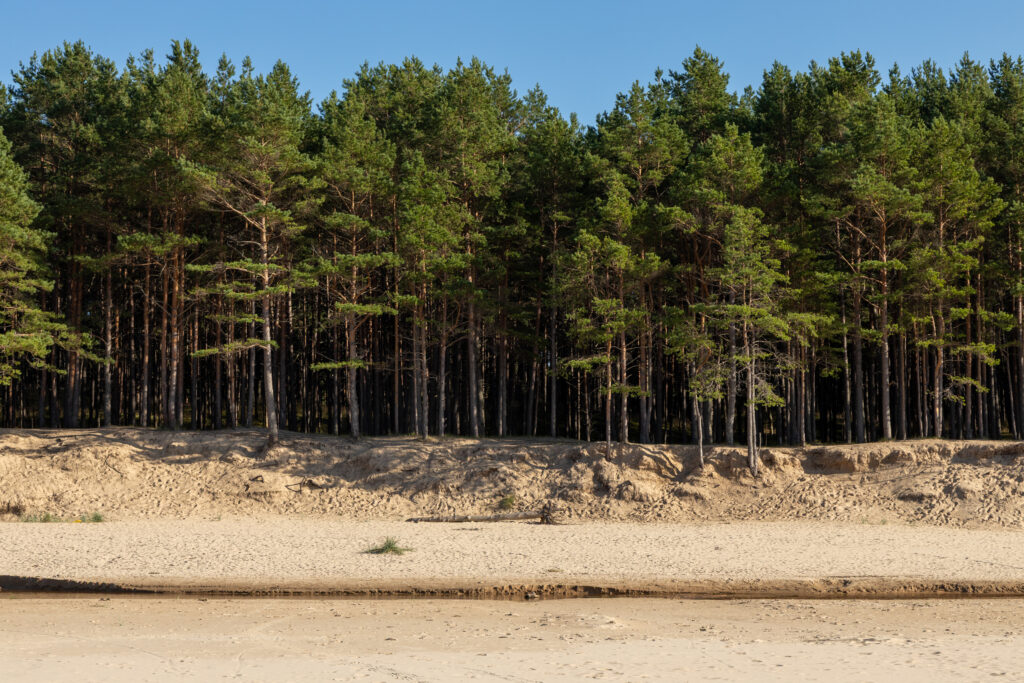 Attēls 6 no 9: Garšu ceļojums Vidzemes piekrastes ciemos