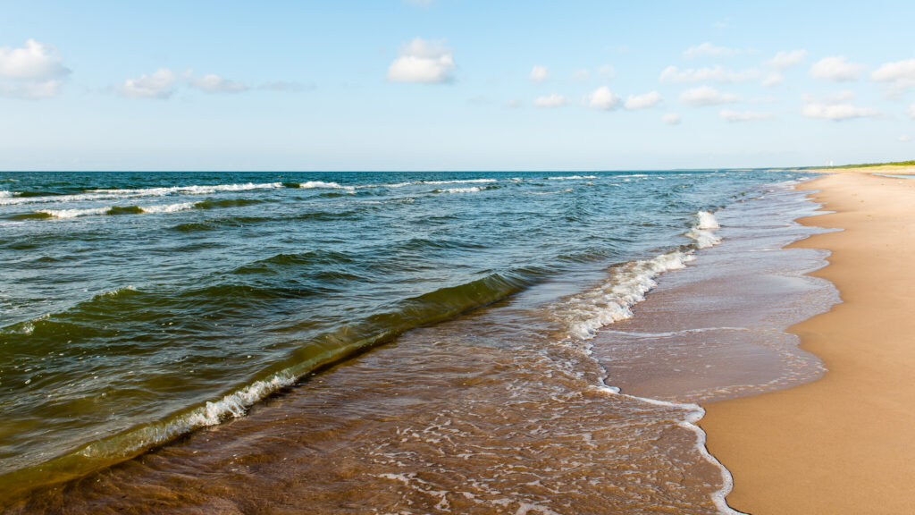 Attēls 14 no 19: Piekrastes raža no jūras, dārza un labības lauka